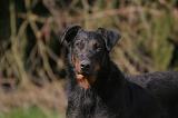 BEAUCERON 1005